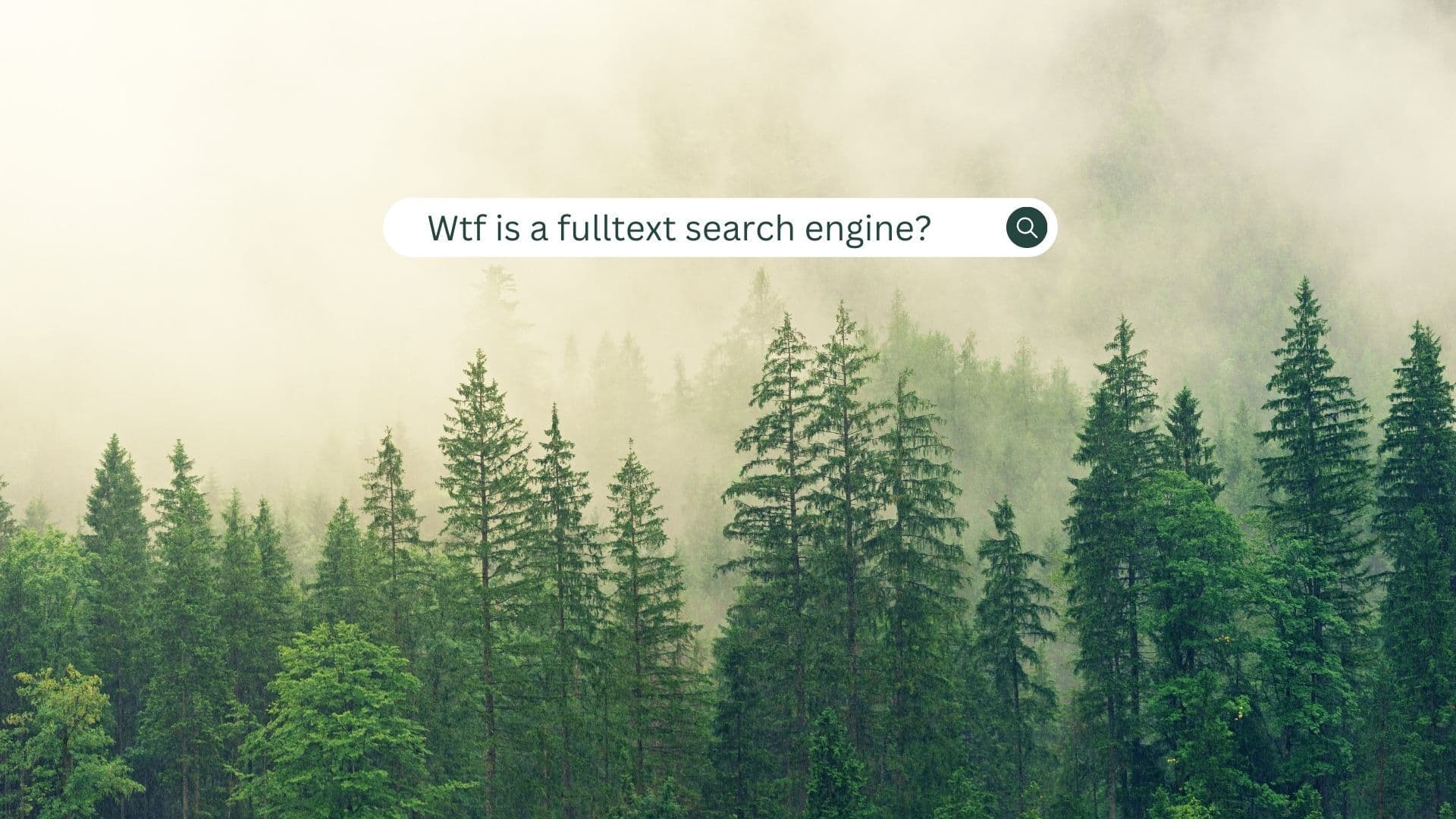 Creating a Fulltext Search Engine in Rust - Part 1